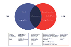 Grafik mit überlappenden Kreisen mit Begriffen aus ERP und PIM | eggheads.net
