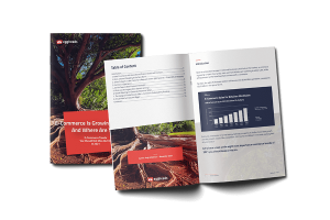 Cover page of the whitepaper E-Commerce Trends 2021 with a growing tree in the background. | eggheads.net